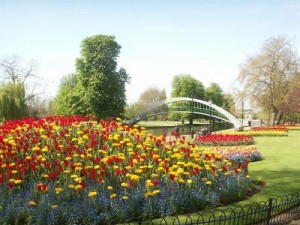 Bedford in Bloom