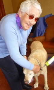 barbecue guest with guide dog