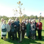 Group around tree for Lynn