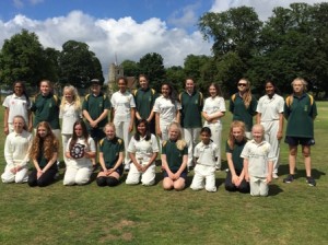 36-Cricket 2016 Abbots Langley and Stevenage Teamsweb