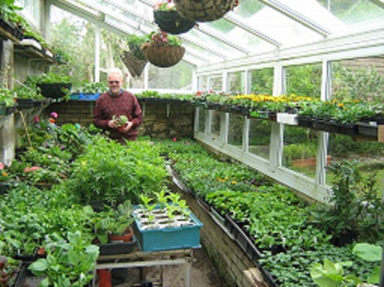 plant sale 2012 web