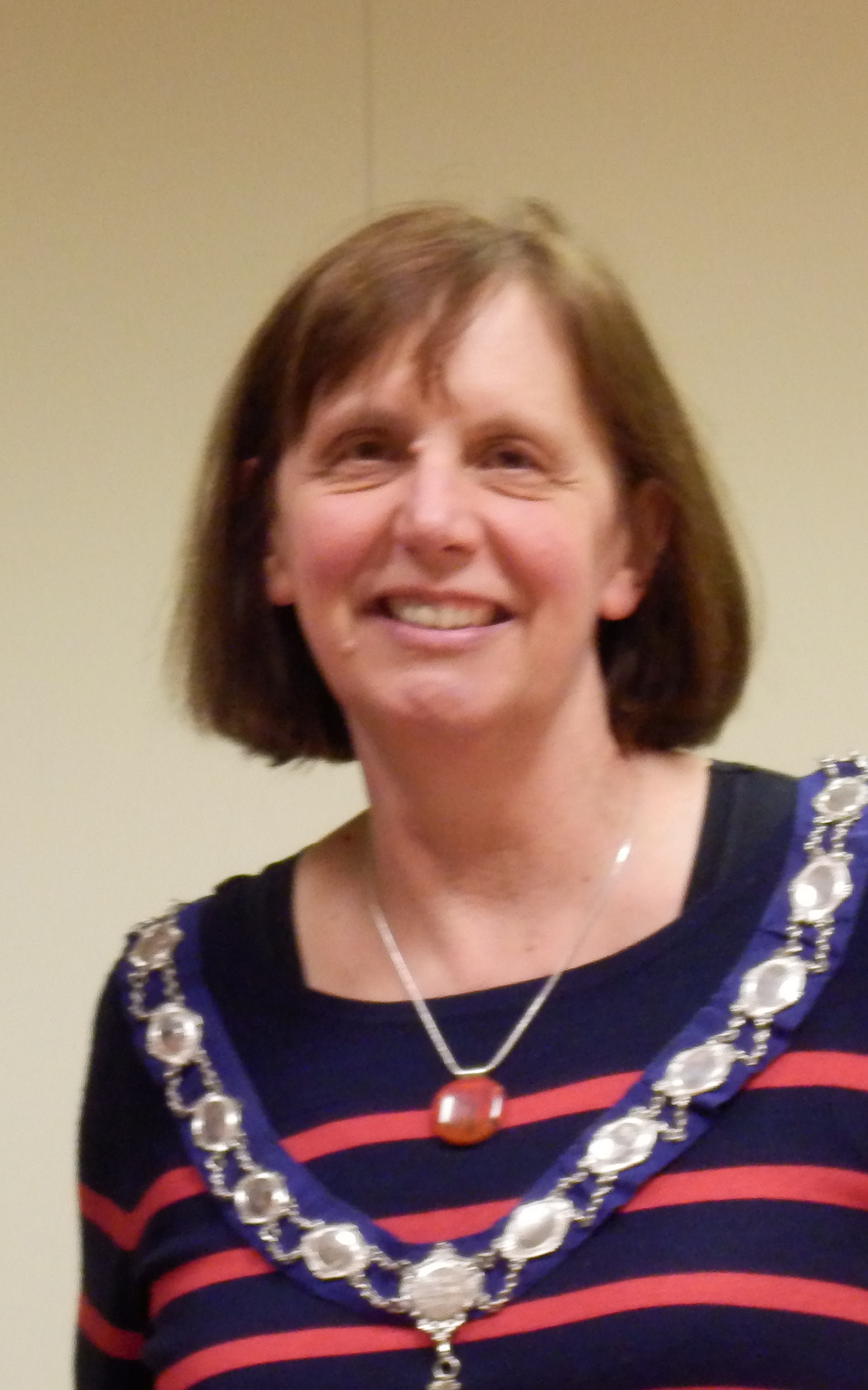 New President Mrs Jane Giles Si Swansea 