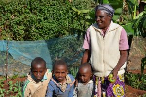 Organisation wide projects