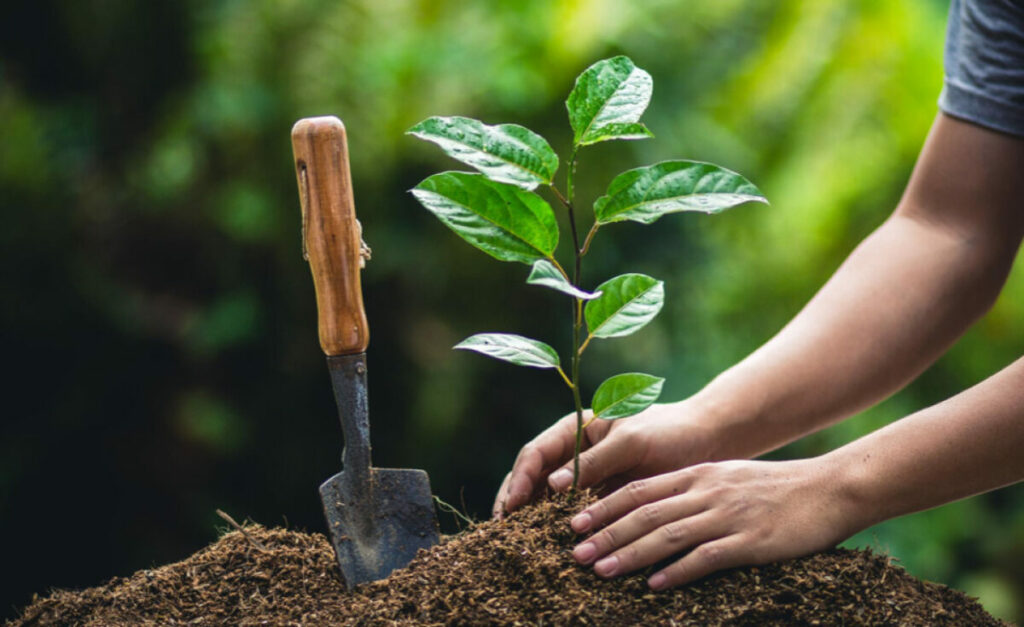 World Environment Day - 5 June 2026