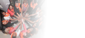 federation-projects-sigbi