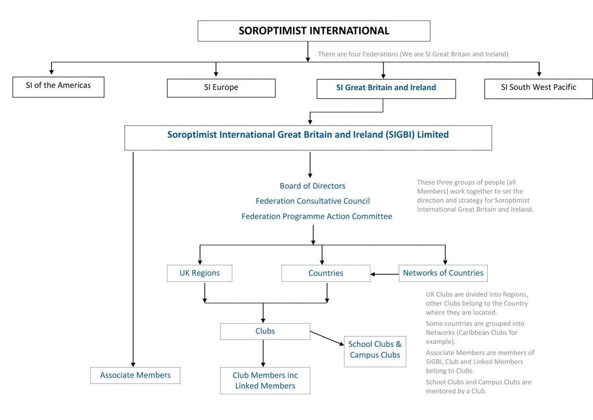 Structure Chart Of Organisation Soroptimist International Great