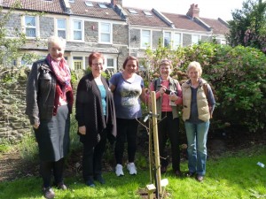SI Bristol gardening volunteers and with the Client Lead who runs the gardening project.