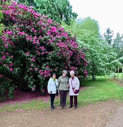 Another Visit to Bowood Gardens: 15th May 2026