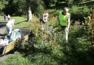 8F474D5B-811F-439B-B13F-5E46BA532C13_1_201_a Taking Action