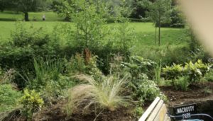 CB5A3CB5-594B-4BD5-926E-45929D688E53_1_201_a Our Weed Free SI Crieff Garden