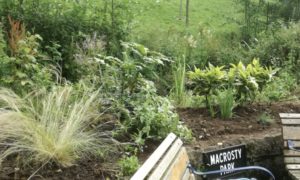 CE9C9292-F8E4-4957-95E7-EB9DE4A2578C_1_201_a Back to looking smart