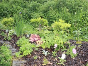 30B5A1C6-4F9F-4F2C-A5C8-2714AFFC5C13_1_201_a