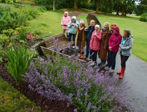 BFC7CCF3-4A69-4602-925A-B3DF1D7C393A