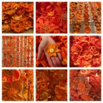 Flower collage