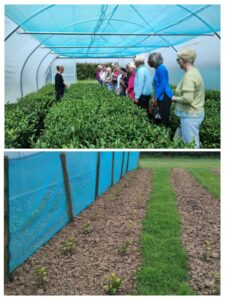 SI Glasgow City members touring The Scottish Teahouse near Lesmahagow.