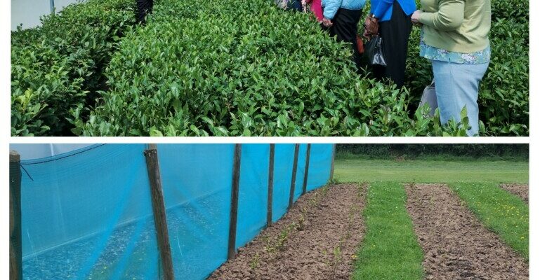 SI Glasgow City members touring The Scottish Teahouse near Lesmahagow.