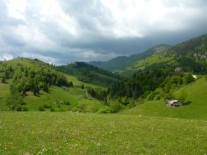 Carpathian Mountains