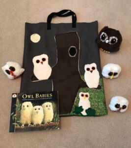 Contents and Story bag for 'Owl babies"