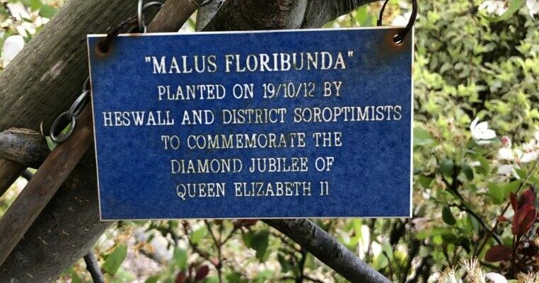 Label with tree planted by club 2012