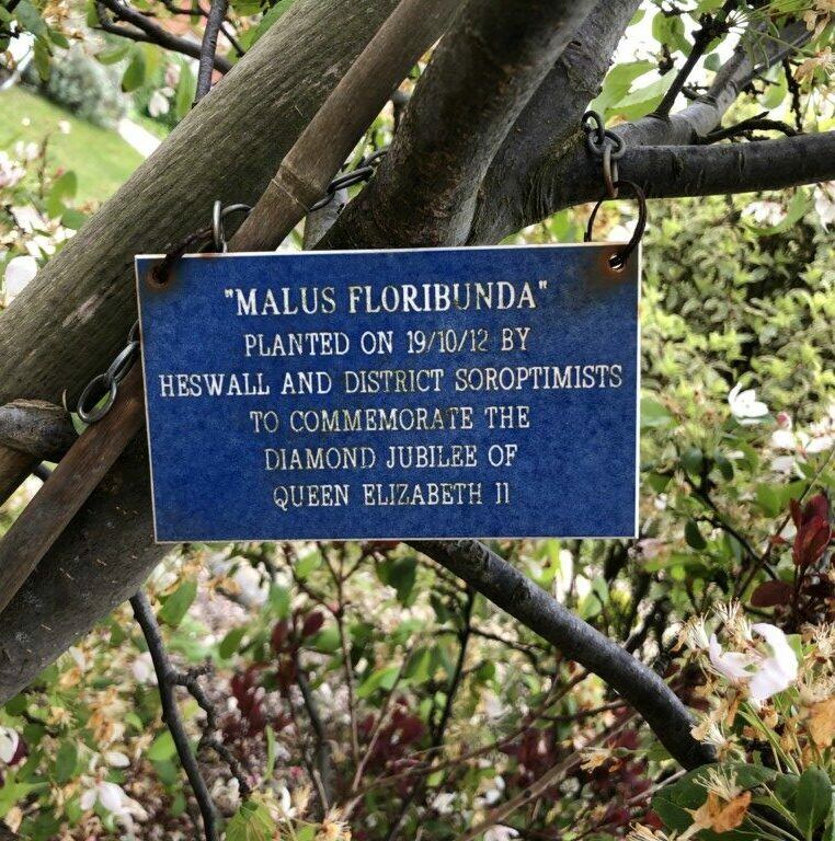 Label with tree planted by club 2012