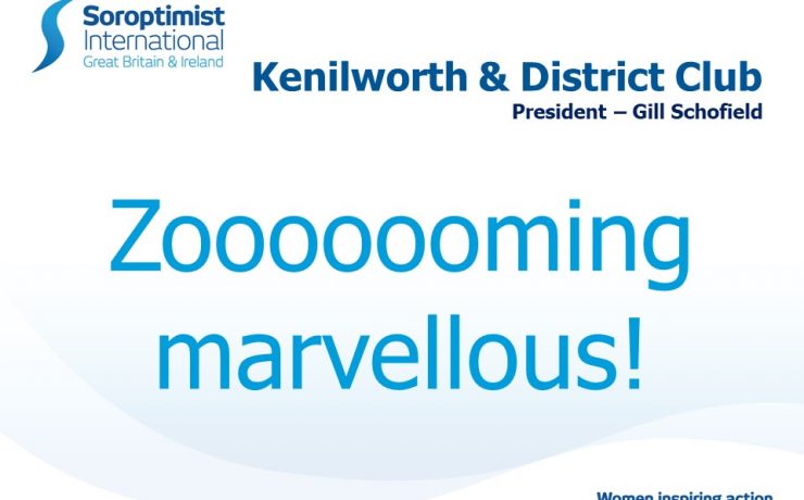 Blue text on white background for Zoom meeting