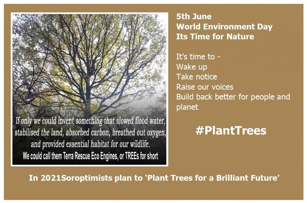 #PlantTrees for World Environment Day