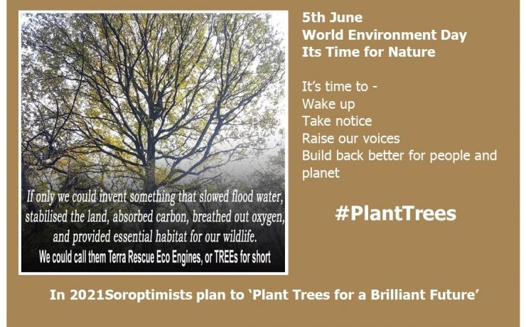 #PlantTrees for World Environment Day