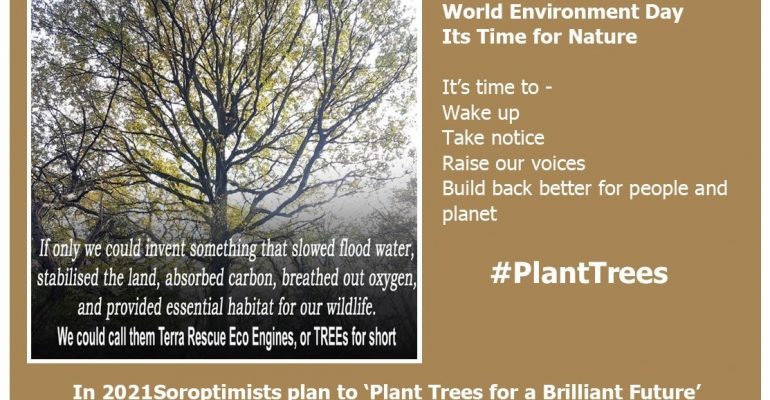 #PlantTrees for World Environment Day
