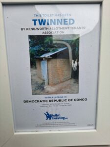 photo of toilet twinned