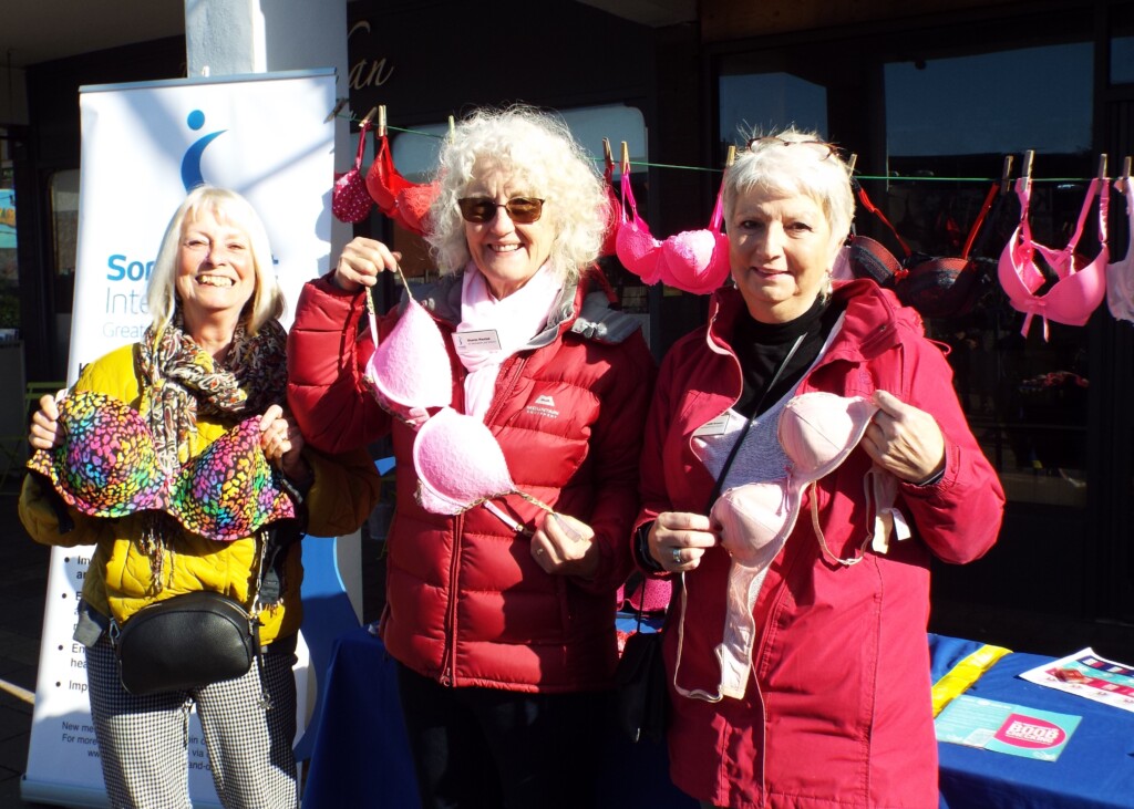 three women holding up pink bras