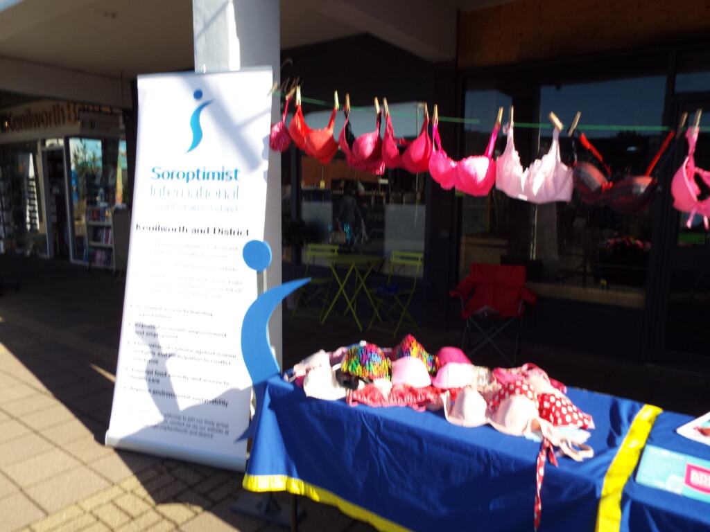 selection of pink bras