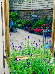 A beautiful and colourful garden