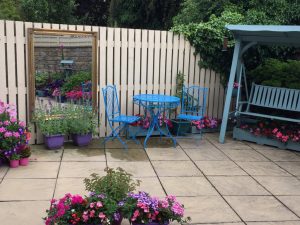 Open Garden in Lancaster _ Viv's Garden