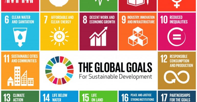 The UN's 17 Sustainable Development Goals