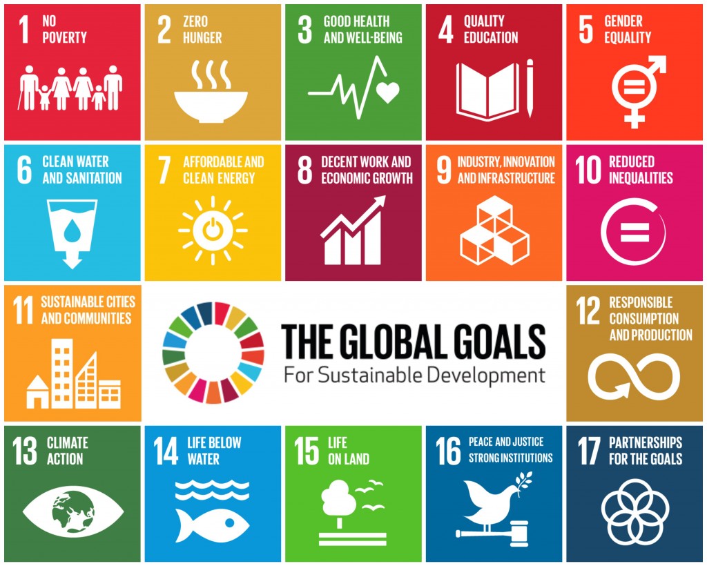 The UN's 17 Sustainable Development Goals
