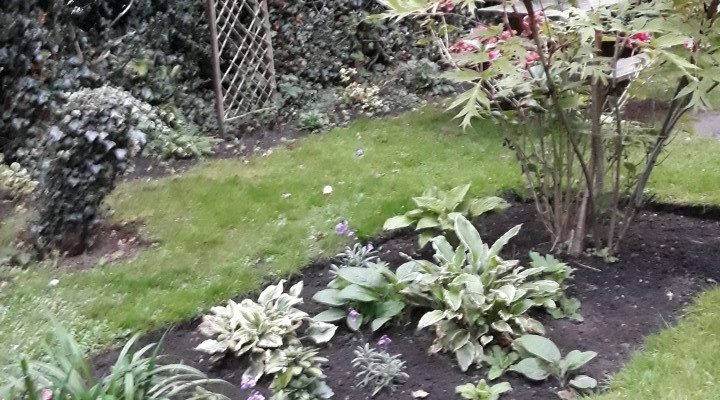 Completed flower bed in Chapters garden