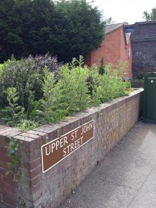 Socially distanced gardening in Lichfield City Centre - Before