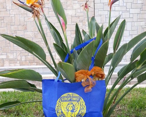 Soroptimist Tote Bag in Cyprus