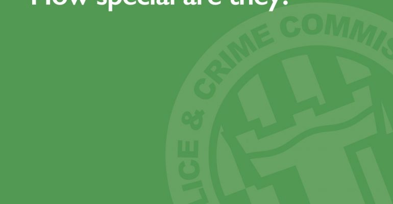 Front cover image "Specialist Domestic Violence Courts - How special are they?