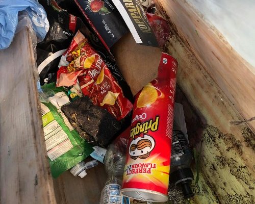 Litter from Ravenhill Park