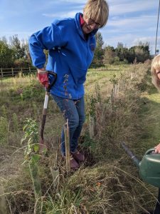 Planting trees for a brilliant future - Christine