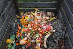 Project Starfish - Compost Bin
