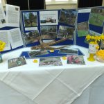 Display at Conference