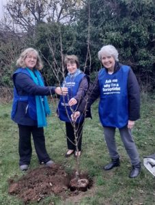 SI Thames Valley Tree Planting