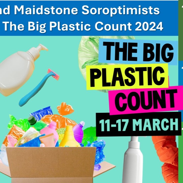 Who took part in The Big Plastic Count?
