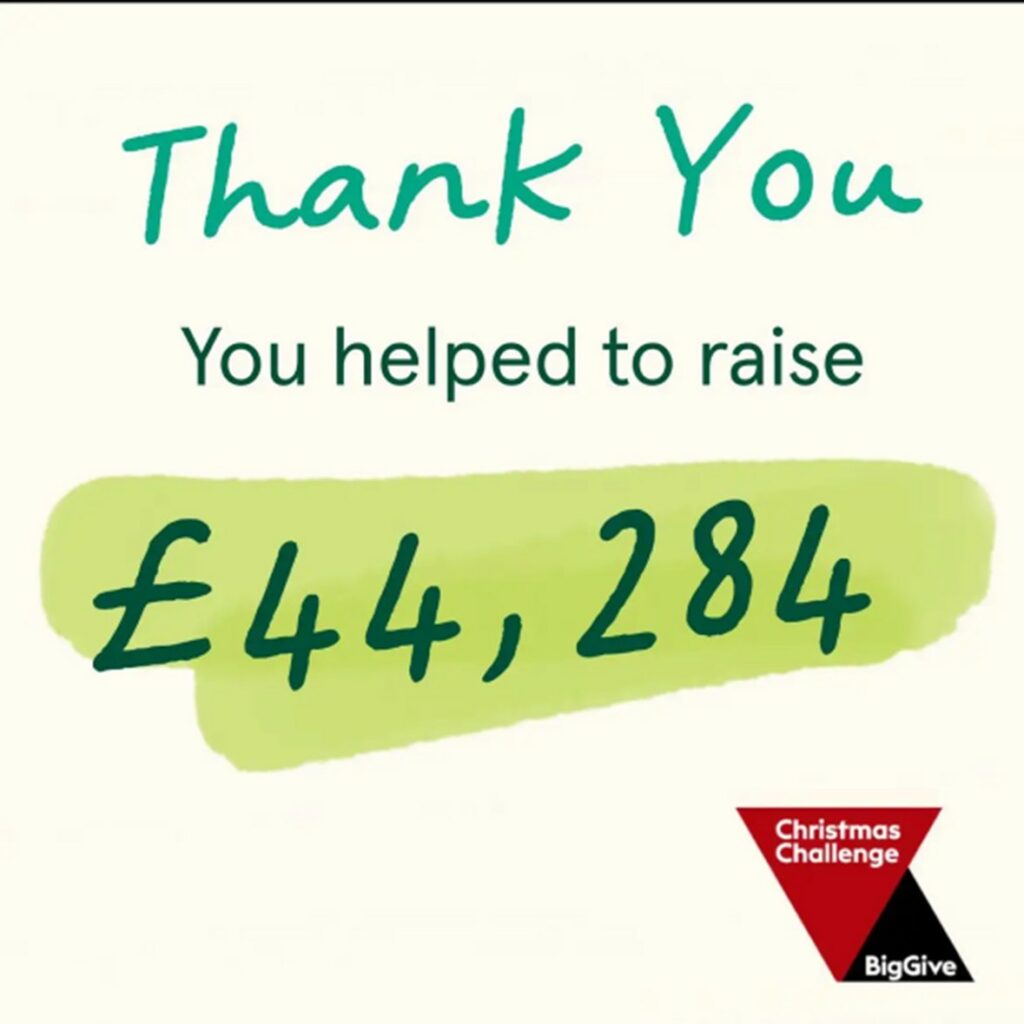 What donation was made to Dandelion Time The Big Give Christmas Challenge?