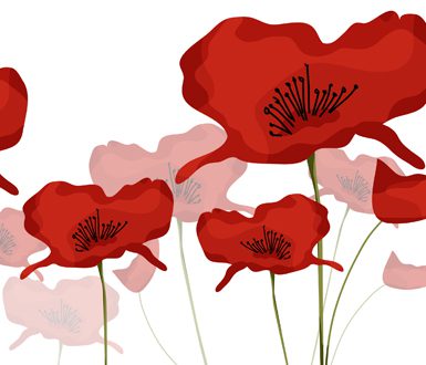 Remembrance-Day-Poppy