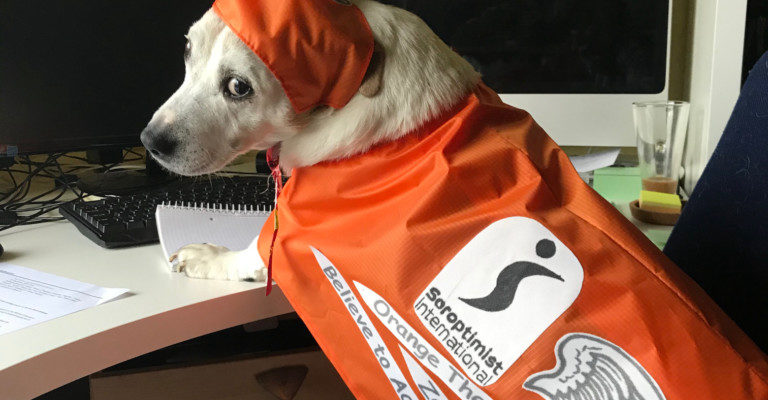 Pet of Soroptimist to promote zero tolerance of violence.