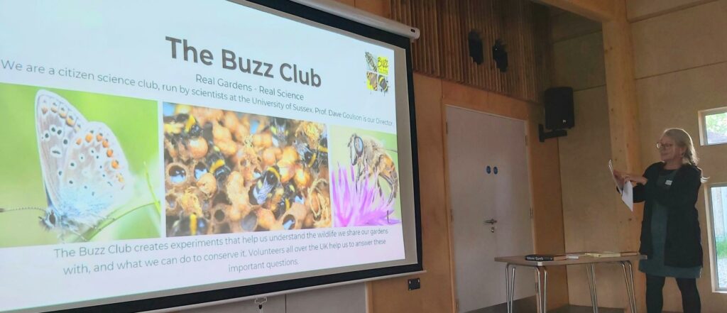 Anna Barrett Buzz Club 11 May