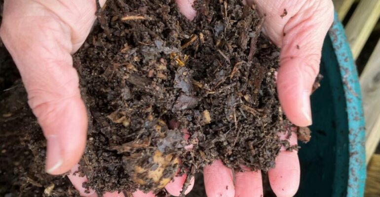 Soil-Squad compost